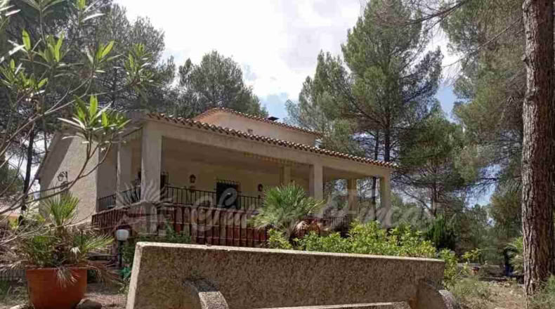 Valencia - Ayora - 4200m2