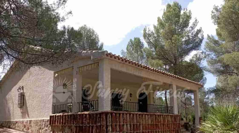 Valencia - Ayora - 4200m2