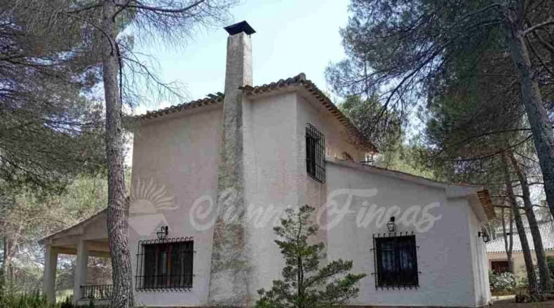 Valencia - Ayora - 4200m2