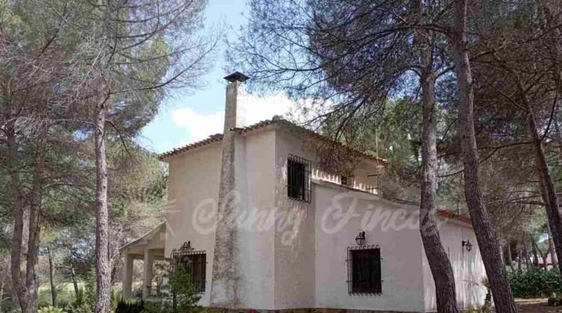Valencia - Ayora - 4200m2
