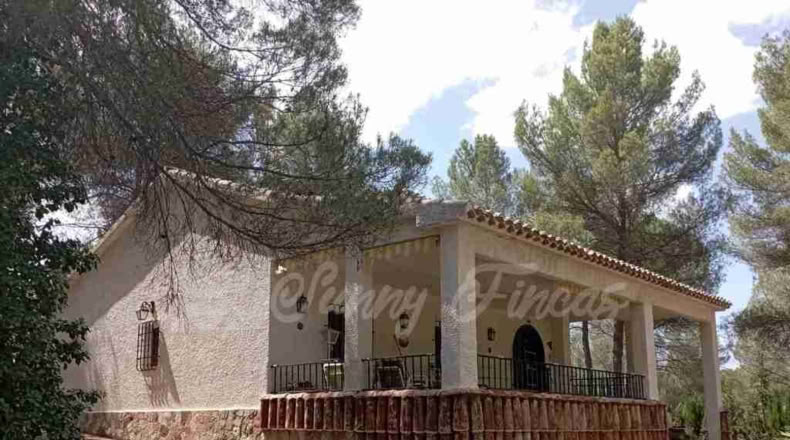 Valencia - Ayora - 4200m2