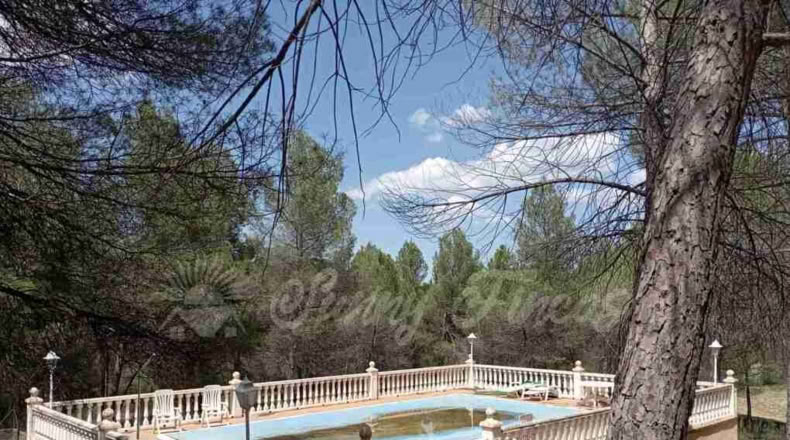 Valencia - Ayora - 4200m2