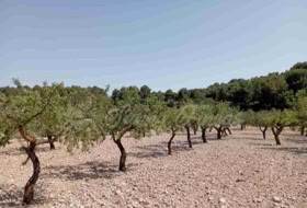 Jumella 34000&nbsp;m² 