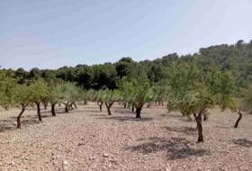 Jumella 34000&nbsp;m² 