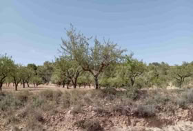 Jumella 34000&nbsp;m² 