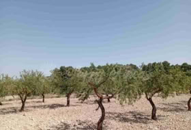 Jumella 34000&nbsp;m² 