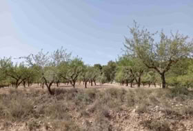 Jumella 34000&nbsp;m² 