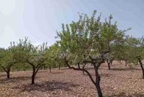 Jumella 34000&nbsp;m² 