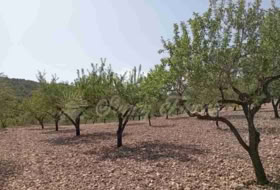 Jumella 34000&nbsp;m² 