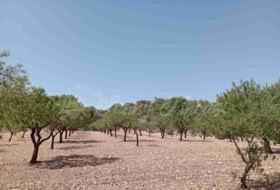 Jumella 34000&nbsp;m² 