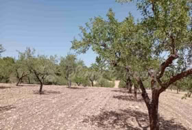 Jumella 34000&nbsp;m² 