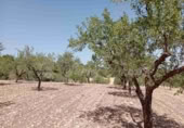 Terreny no urbanitzable en venda a Jumella ref.: TR111105 foto