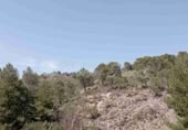Terreny no urbanitzable en venda a Jumella ref.: TR111103 foto