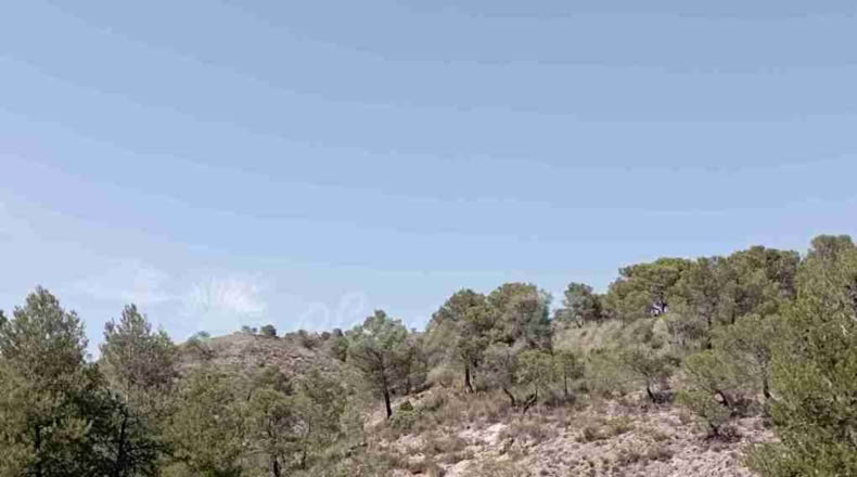 Murcia - Jumilla - 137000m2