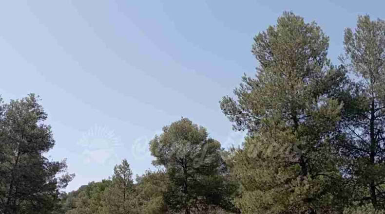 Murcia - Jumilla - 137000m2