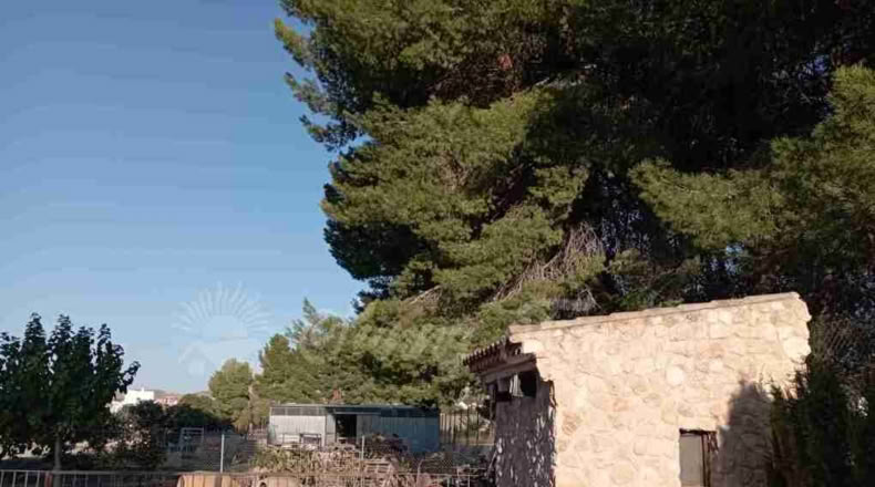 Alicante - Villena - 4500m2