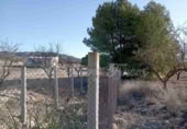 Masía con terreno en venta en Caudete ref: TR200239 foto