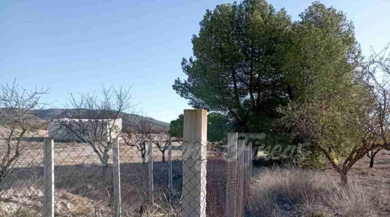 Albacete - Caudete - 11000m2