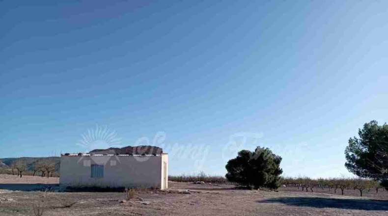 Albacete - Caudete - 11000m2