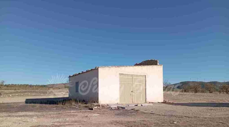 Albacete - Caudete - 11000m2