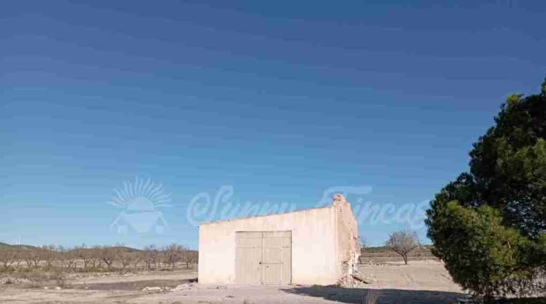 Albacete - Caudete - 11000m2