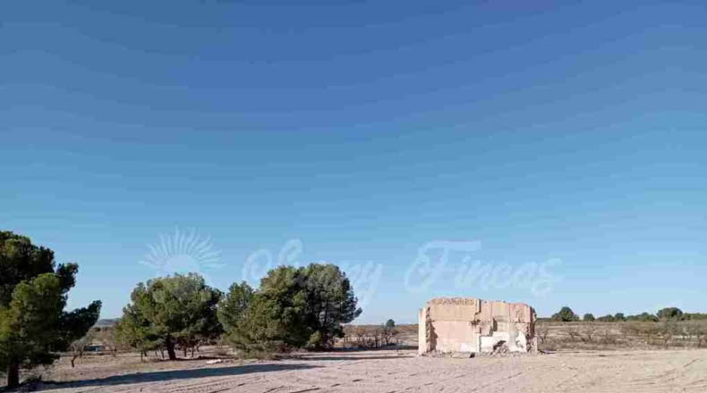 Albacete - Caudete - 11000m2