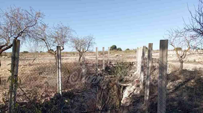 Albacete - Caudete - 11000m2