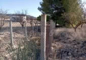 Masía con terreno en venta en Caudete ref: TR200239 foto