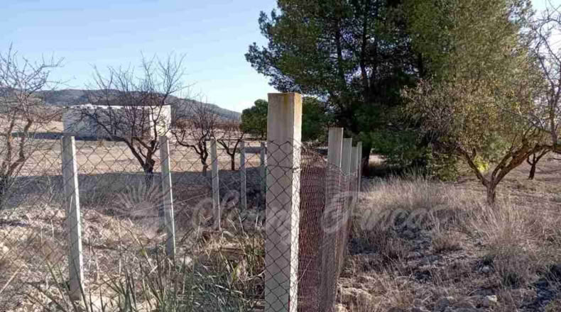 Albacete - Caudete - 11000m2