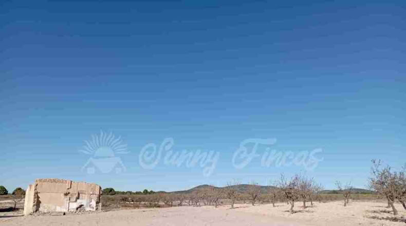 Albacete - Caudete - 11000m2