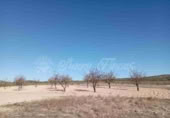 Masía con terreno en venta en Caudete ref: TR200239 foto