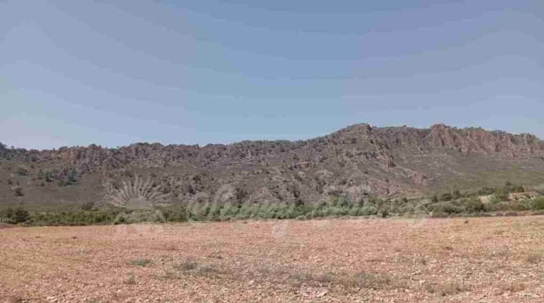 Múrcia - Yecla - 25000m2