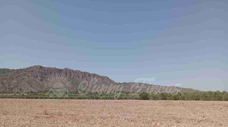 Múrcia - Yecla - 25000m2