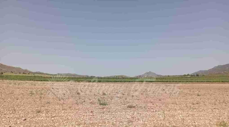 Múrcia - Yecla - 25000m2