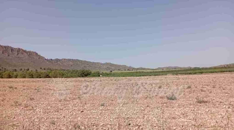 Múrcia - Yecla - 25000m2