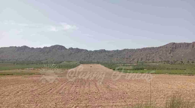 Múrcia - Yecla - 25000m2
