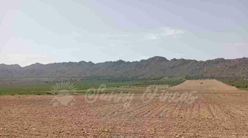 Múrcia - Yecla - 25000m2