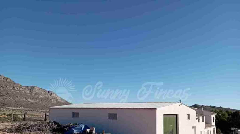 Murcia - Yecla - 245000m2
