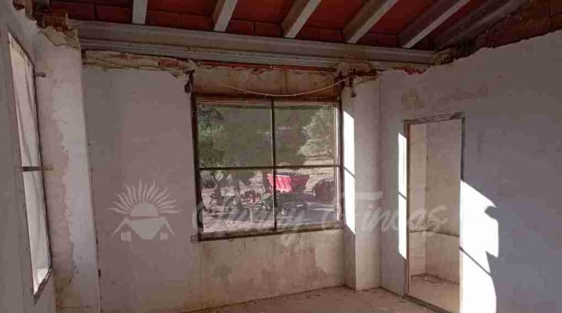 Murcia - Yecla - 245000m2