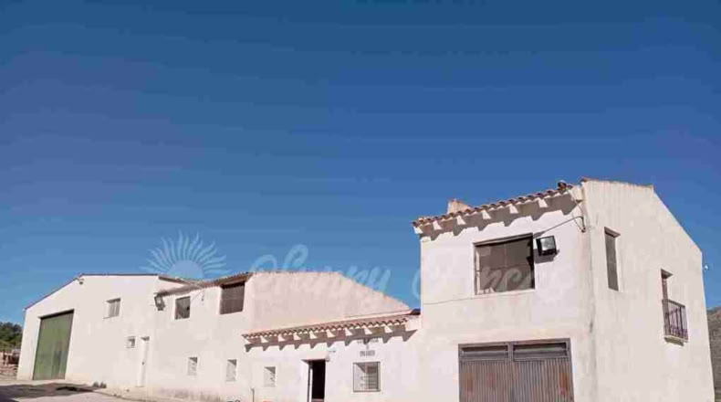Murcia - Yecla - 245000m2