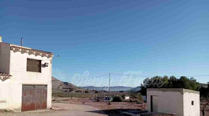 Murcia - Yecla - 245000m2