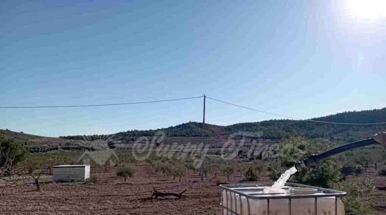 Murcia - Yecla - 245000m2