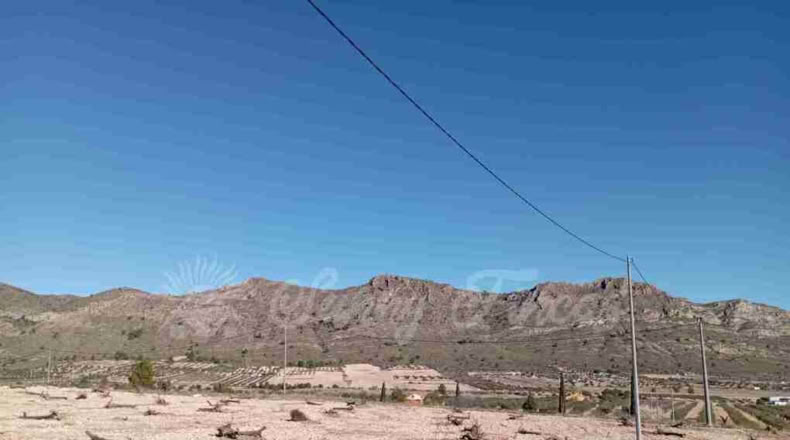 Murcia - Yecla - 245000m2