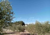Masia amb terreny en venda a Iecla ref.: TR200931 foto