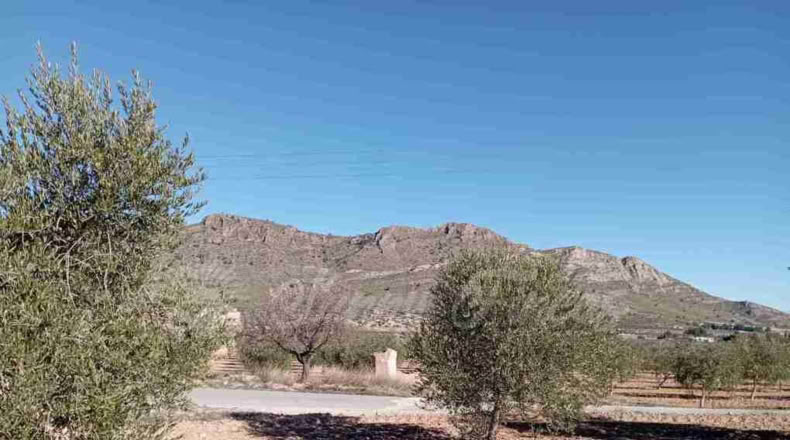 Murcia - Yecla - 245000m2