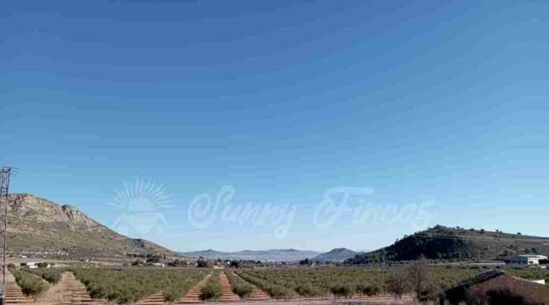 Murcia - Yecla - 245000m2