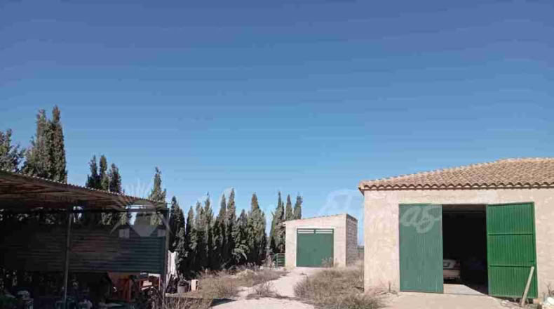Murcia - Yecla - 12000m2