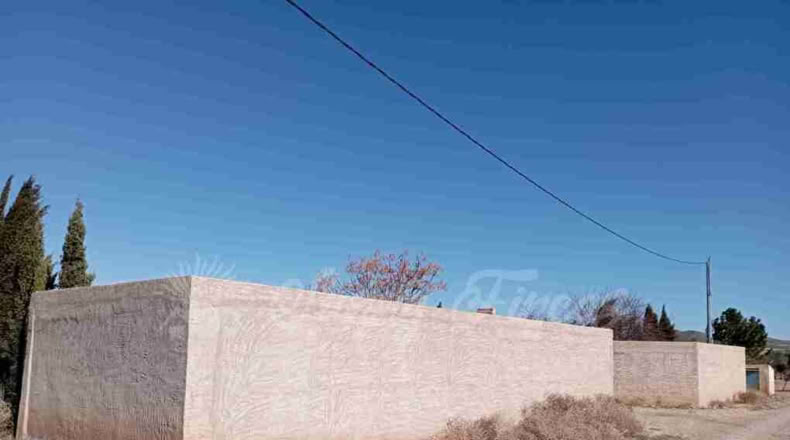 Murcia - Yecla - 12000m2