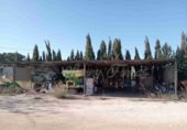 Фермерский дом с участком на продажу в городе Йекла. Фото