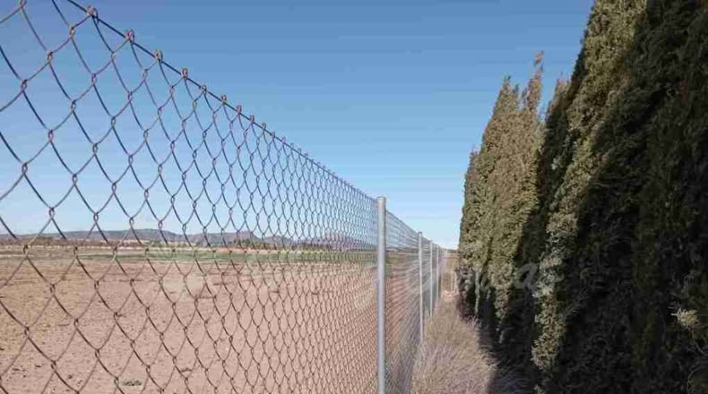 Murcia - Yecla - 12000m2